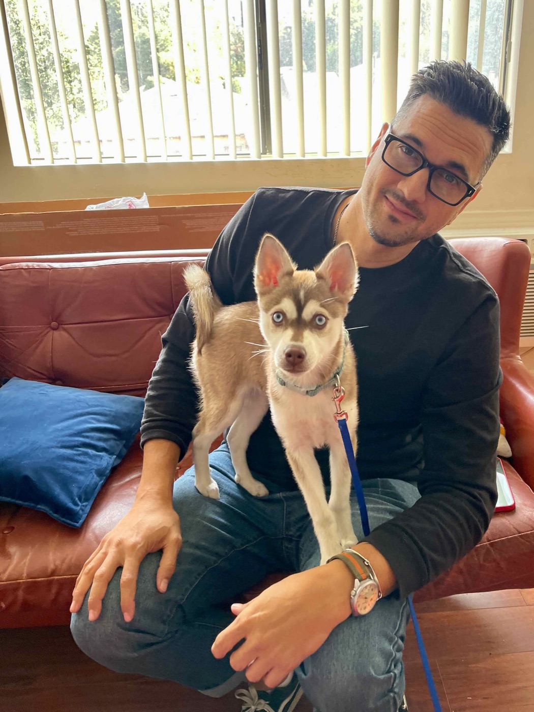 A candid moment with the studio dog at the office